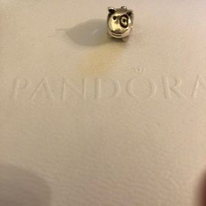 Retired pandora charm dog